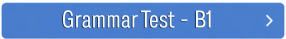 Grammar Tests B1