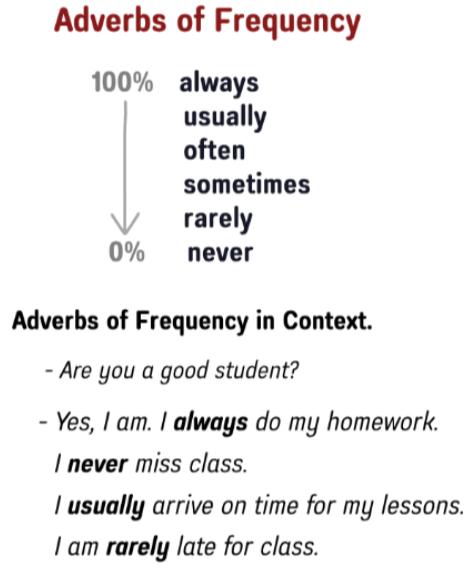 Adverbs of Frequency